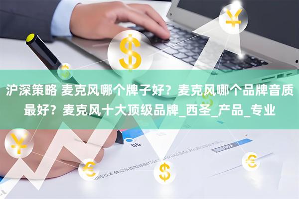 沪深策略 麦克风哪个牌子好？麦克风哪个品牌音质最好？麦克风十大顶级品牌_西圣_产品_专业