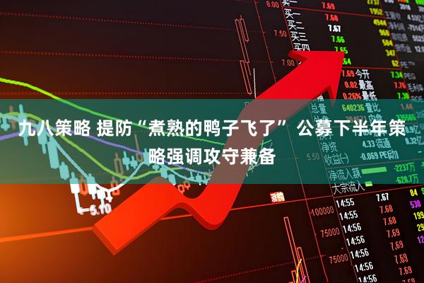 九八策略 提防“煮熟的鸭子飞了” 公募下半年策略强调攻守兼备