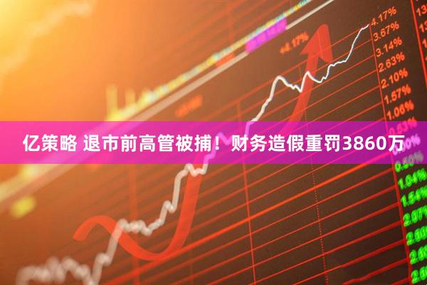 亿策略 退市前高管被捕！财务造假重罚3860万