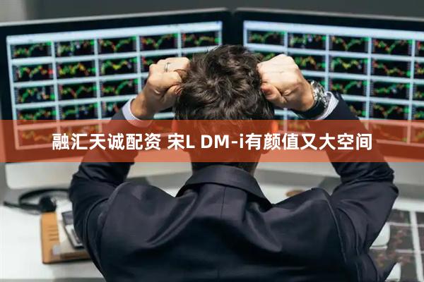 融汇天诚配资 宋L DM-i有颜值又大空间