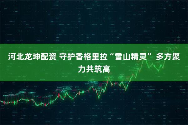 河北龙坤配资 守护香格里拉“雪山精灵” 多方聚力共筑高