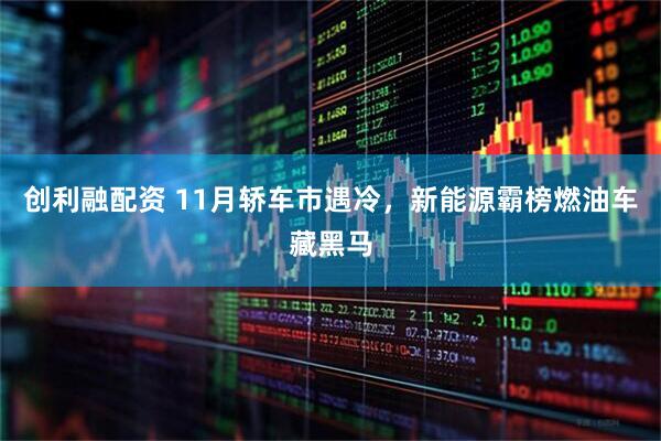 创利融配资 11月轿车市遇冷，新能源霸榜燃油车藏黑马