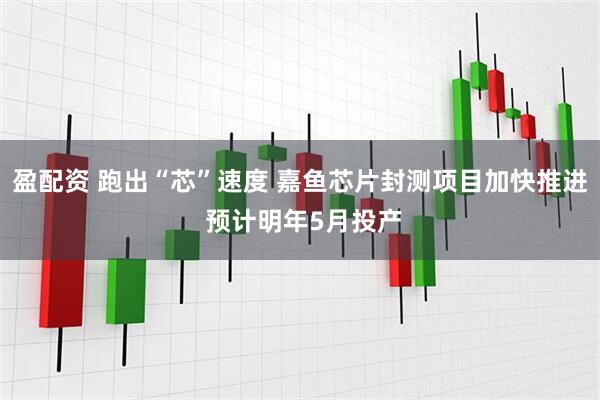 盈配资 跑出“芯”速度 嘉鱼芯片封测项目加快推进 预计明年5月投产